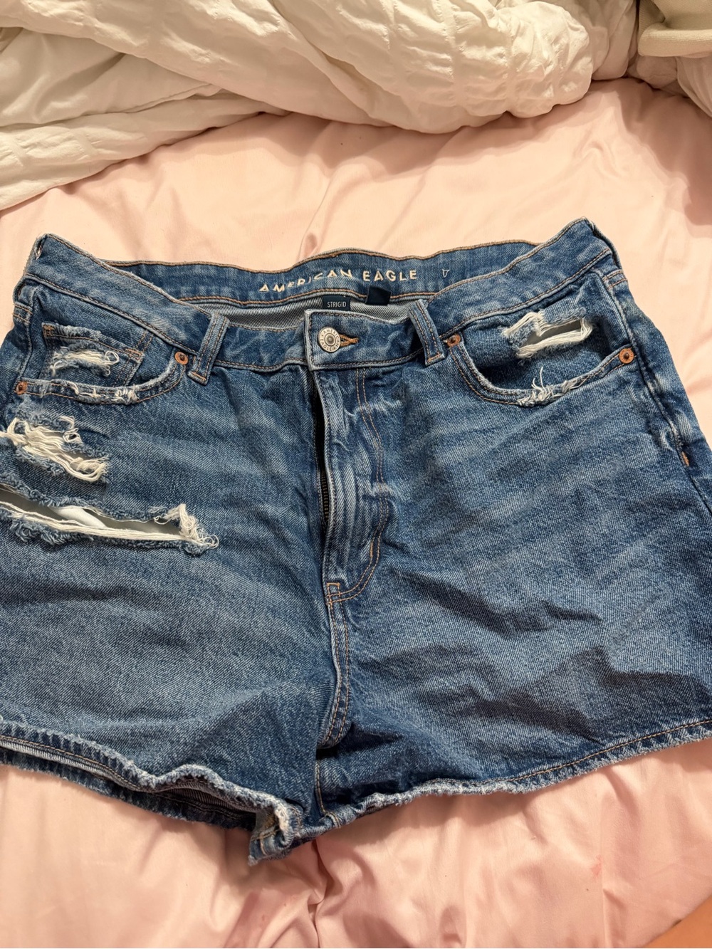 American Eagle Outfitters Distressed Blue Denim Cutoff Shorts